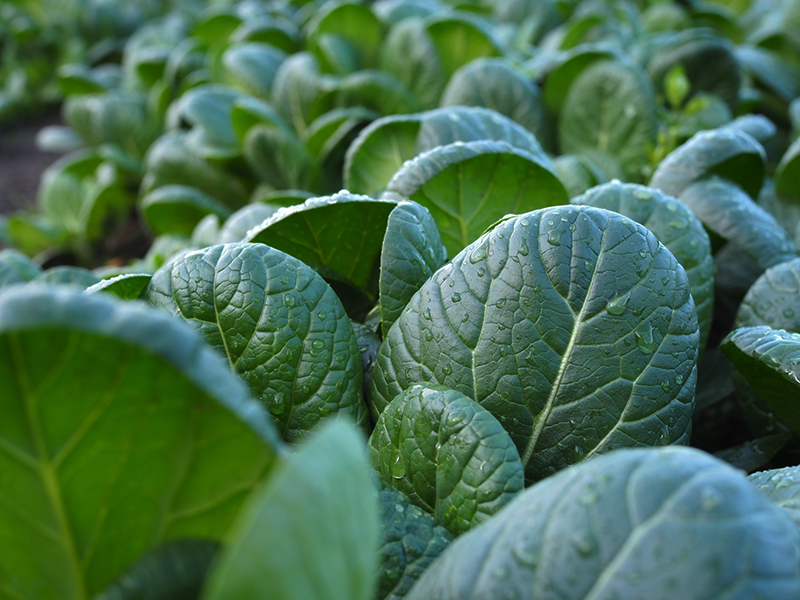 採用情報イメージ